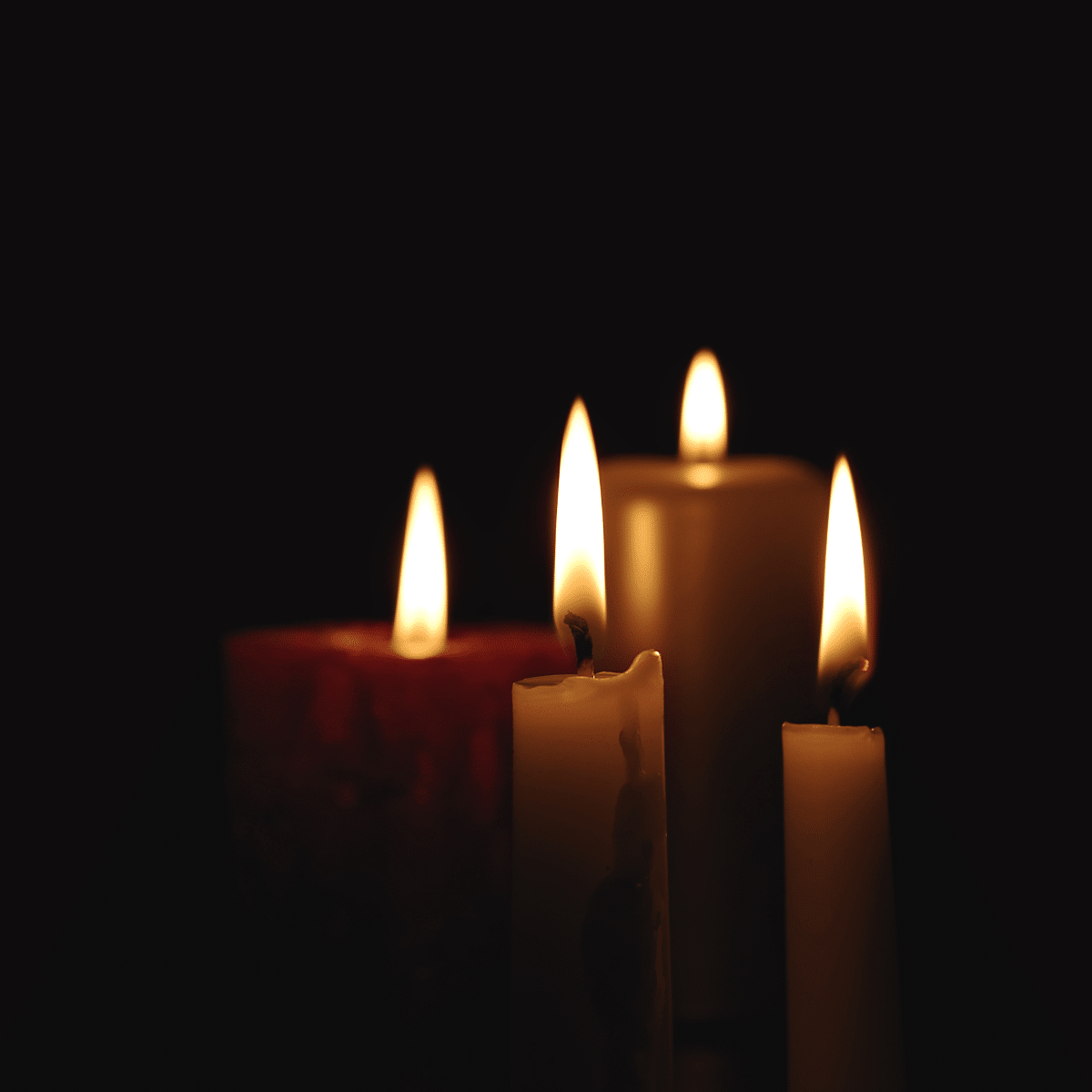 PRESS RELEASE: Two Years Since the Darkness of October 7